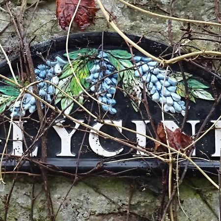 Le Glycine A Manoir Sainte Cecile Lejlighed Juvigny-Val-d'Andaine Eksteriør billede