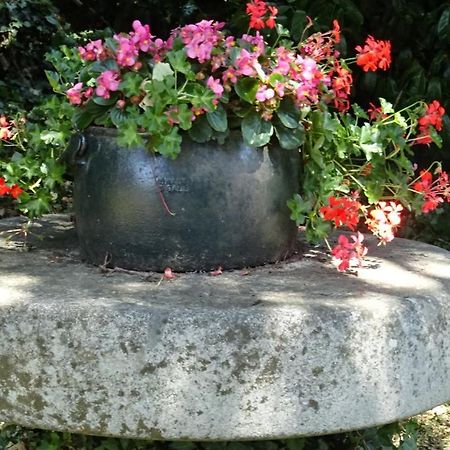 Le Glycine A Manoir Sainte Cecile Lejlighed Juvigny-Val-d'Andaine Eksteriør billede