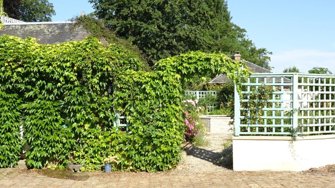 Le Glycine A Manoir Sainte Cecile Lejlighed Juvigny-Val-d'Andaine Eksteriør billede