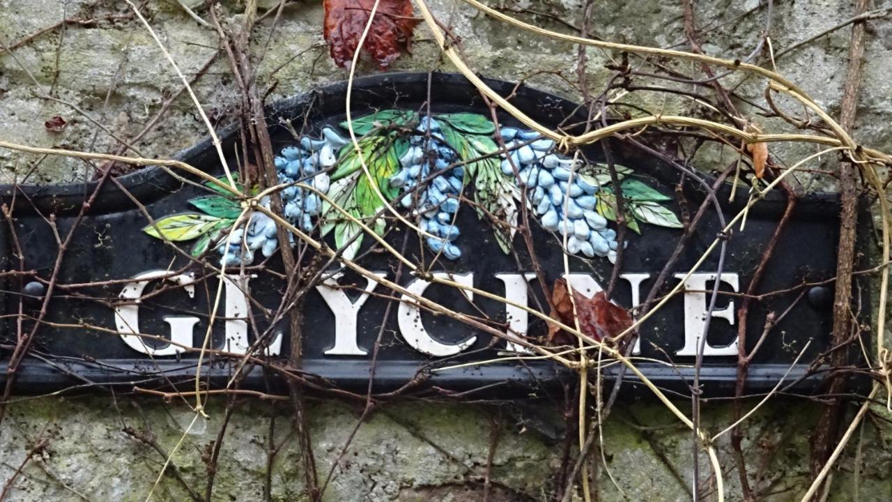 Le Glycine A Manoir Sainte Cecile Lejlighed Juvigny-Val-d'Andaine Eksteriør billede