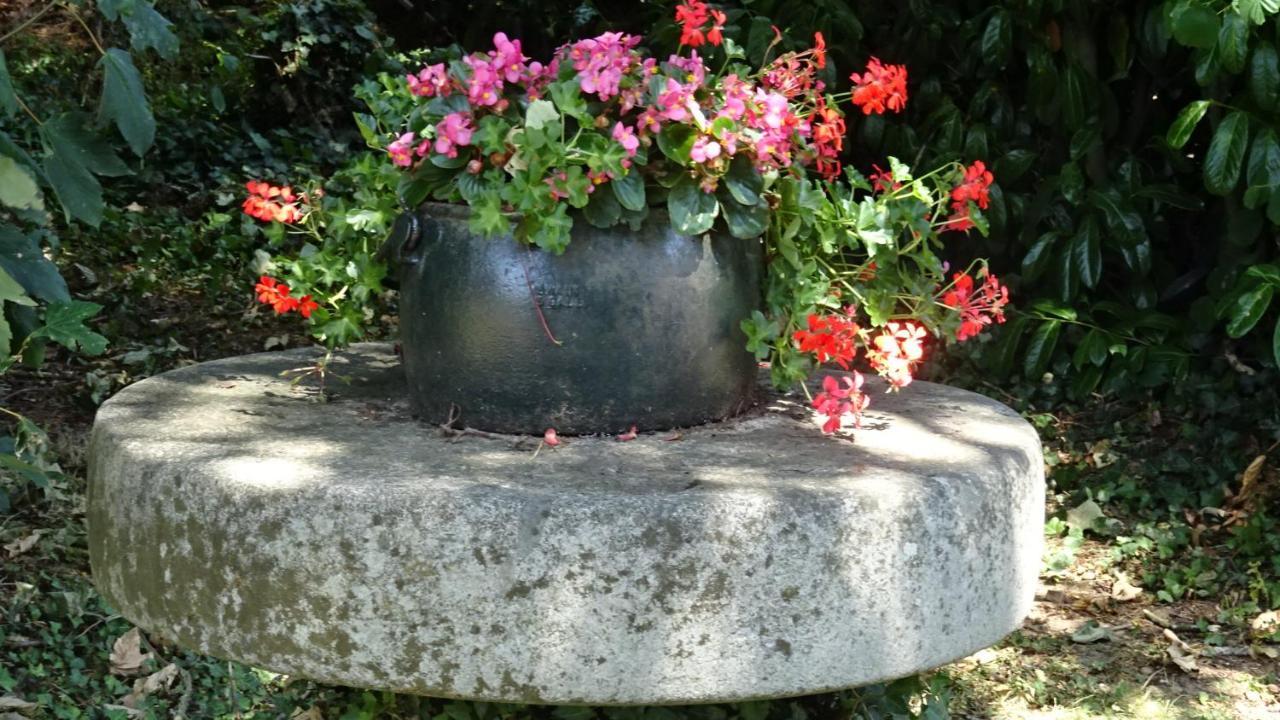 Le Glycine A Manoir Sainte Cecile Lejlighed Juvigny-Val-d'Andaine Eksteriør billede